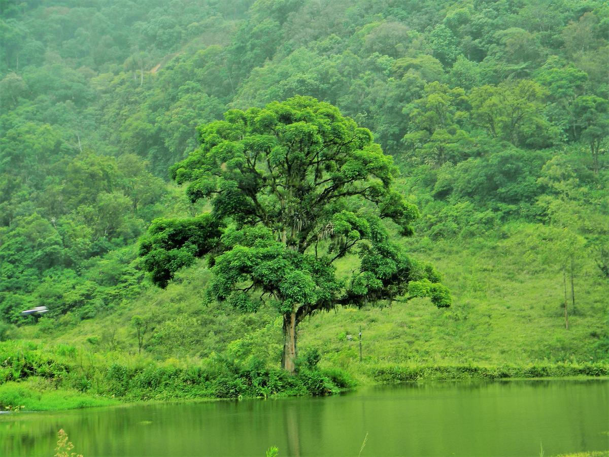 Pousada Signora Del Lago Sao Joao  Exterior foto